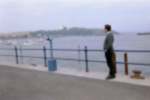 Thumbnail Tim & Seagull