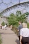 Thumbnail Entering Eden