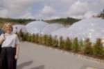 Thumbnail Bubblewrap Landscape